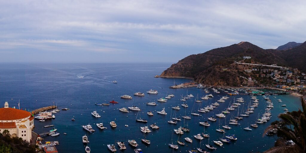 What Is Catalina Island Known For?